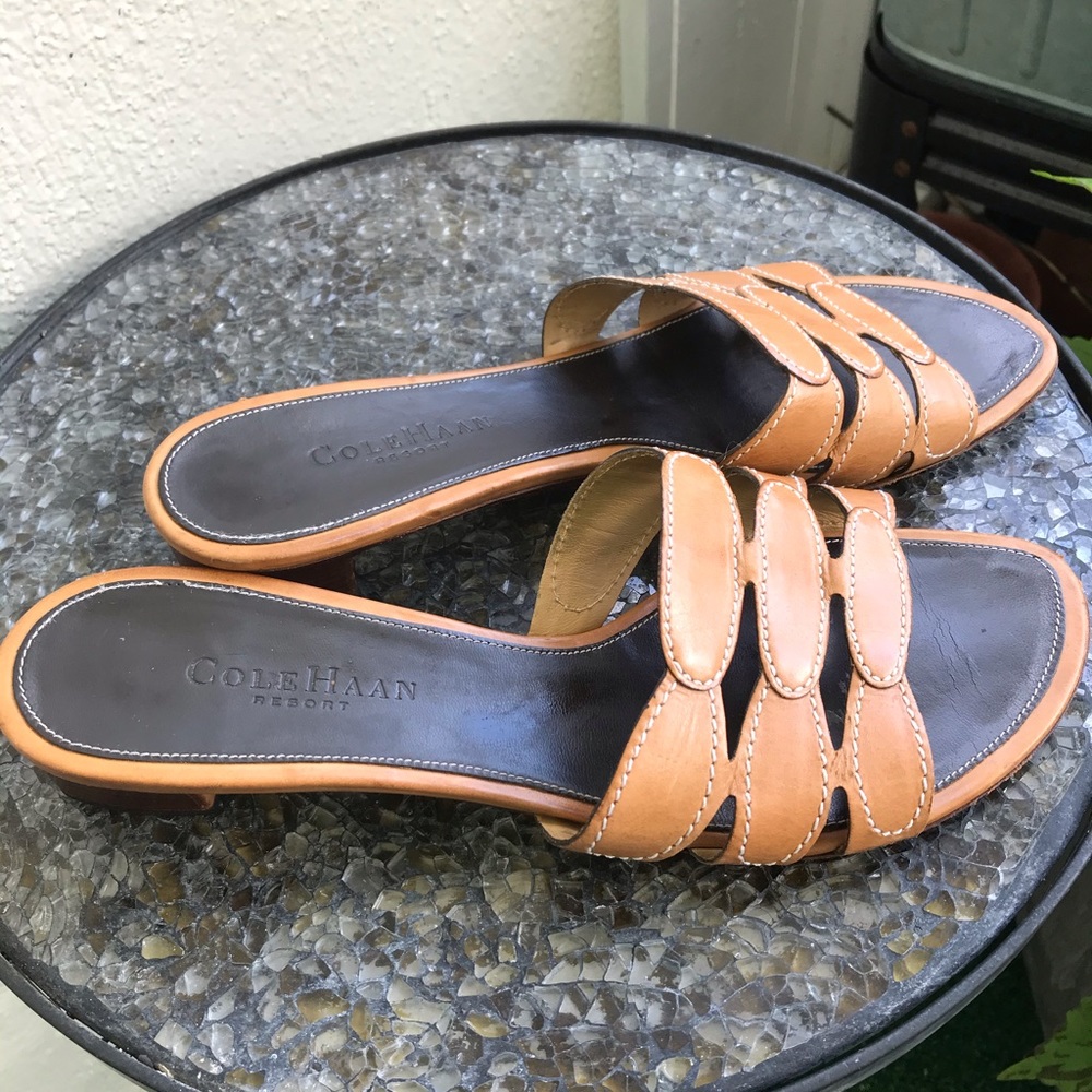 Cole Haan slide
